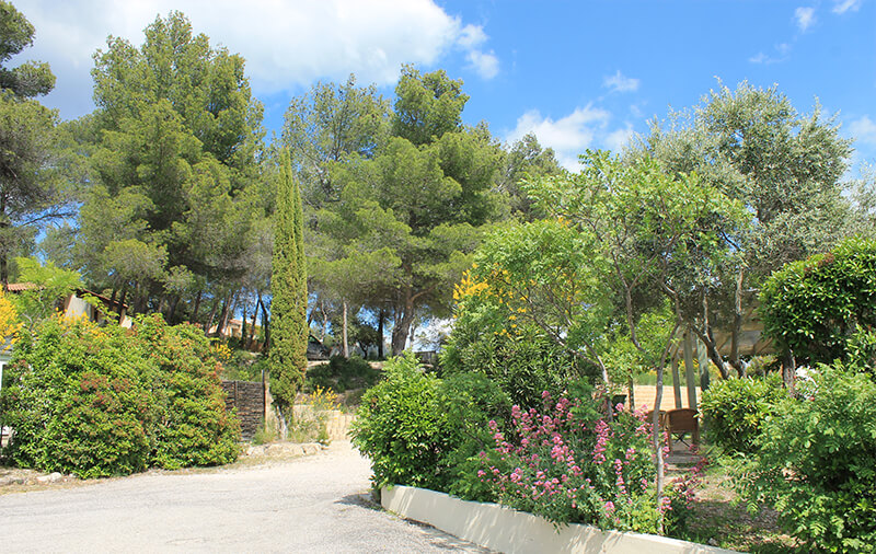 Campingplatz in der Provence, Le Cézanne Sainte-Victoire, eine Insel der Ruhe und der Entdeckungen