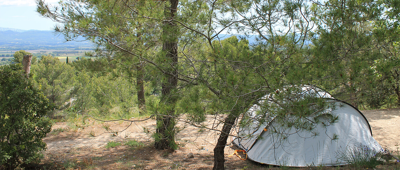 Camping pitches for tents in the PACA region at Cézanne Sainte-Victoire