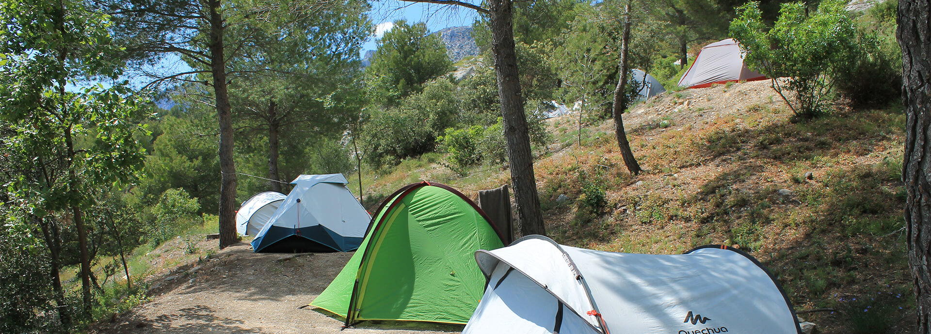 Camping pitches for tents in the PACA region at the Cézanne Sainte-Victoire campsite in Provence