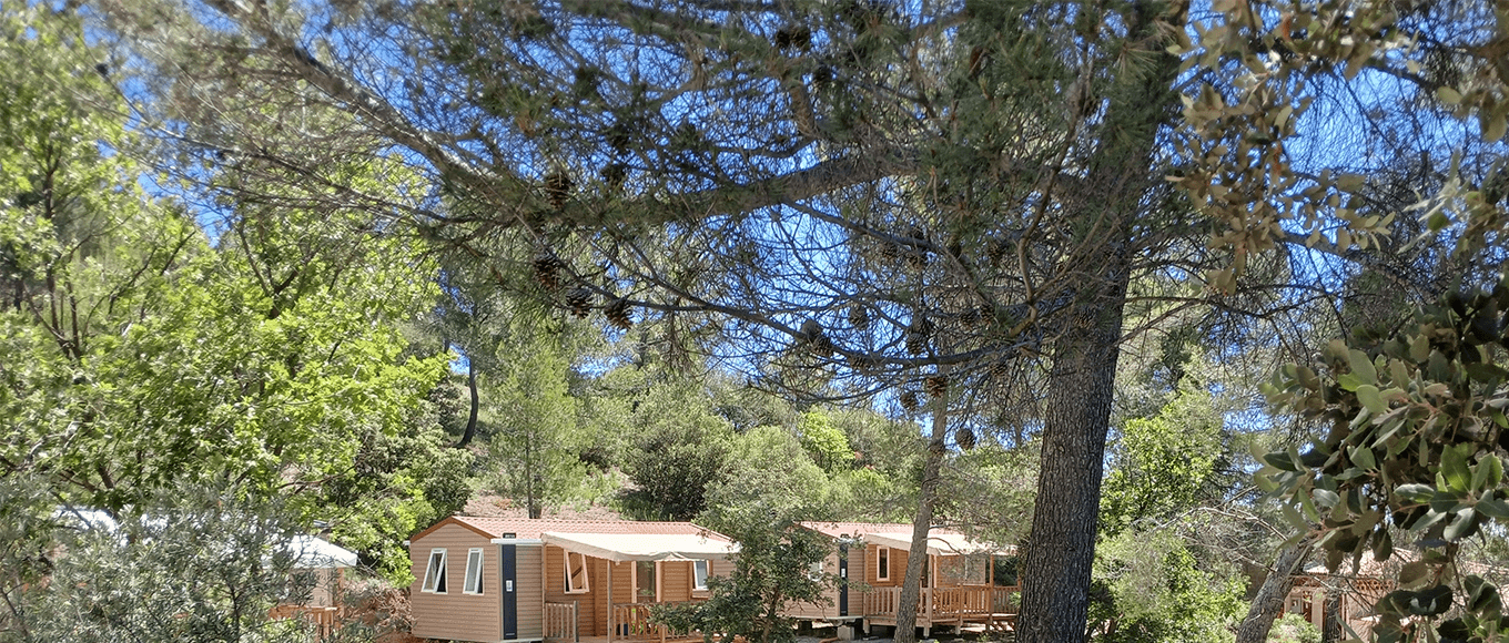 Vermietung von Mobilheimen in der außergewöhnlichen Umgebung des Campingplatzes in Puyloubier Le Cézanne Sainte-Victoire