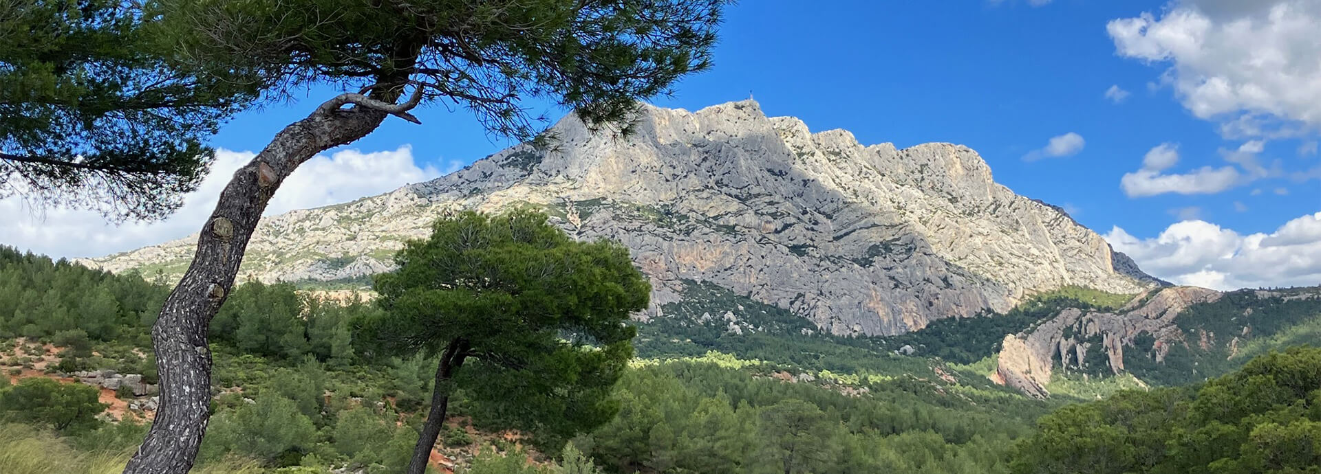 Vue la montagne Sainte-Victoire